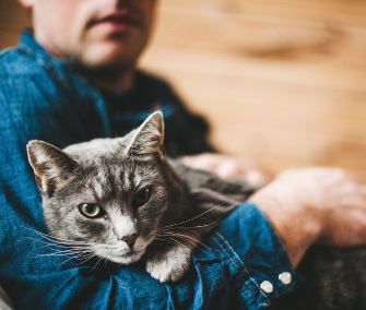 man and gray cat