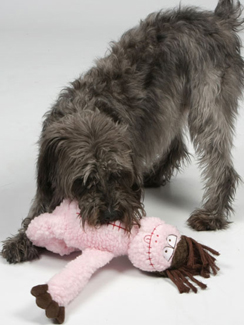 Huggle Hounds