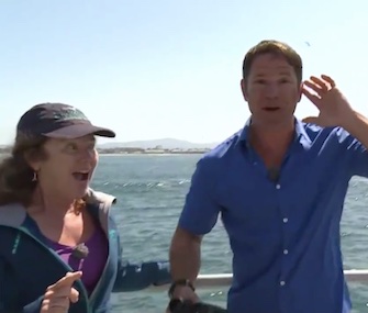 BBC One's Steve Backshall was thrilled to see a blue whale during a live TV interview.