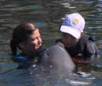 Sarah, a bottlenose dolphin, works with children with disabilities.