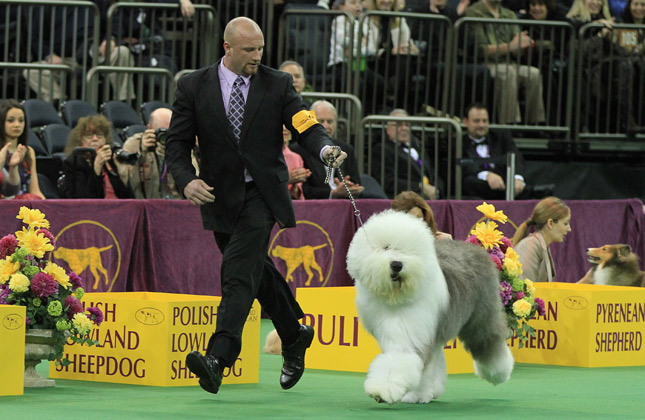 Swagger Westminster 2013
