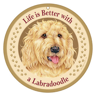Life is Better With a Labradoodle