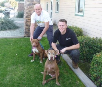 Brownie, left with Ted, has a happy new home and a doggie sibling, right.