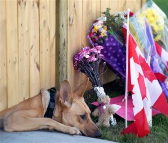 A dog belonging to Cpl. Nathan Cirillo, who was killed by a gunman in Canada, lays by a memorial outside the fence at his home.