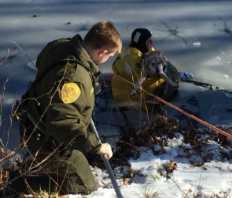 Delilah, a 19-year-old Shepherd mix, was rescued from an icy pond in Fairfield, Connecticut.