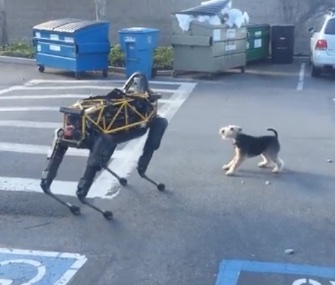 A Terrier wasn't sure what to make of Spot, a robotic dog.