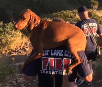 Firefighter Tony Stowe draped an injured dog over his shoulders to carry him 2 miles to safety in Utah.