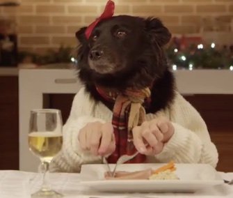 Thirteen dogs and one cat sit down to have a holiday meal for a Freshpet promotional video that's gone viral.