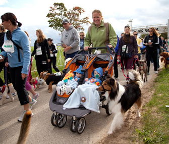 a PAWS Chicago Walk