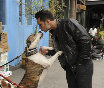 Justin Silver kissing dog