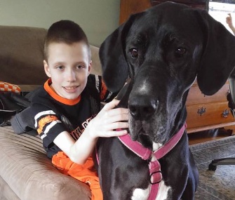 Hunter, 10, has been learning to walk again with the help of Wendy, a Great Dane.