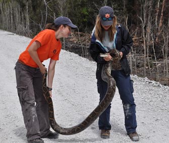 Christina Romagosa with python