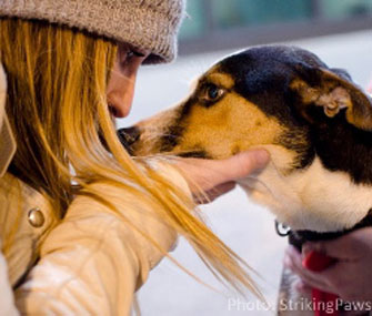 Christina Beckles with rescue dog