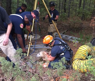 A 10-year-old yellow Lab was rescued from a 40-foot well after he fell in.