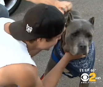 Eric Hough is reunited with his dog, Smoke, after three years.