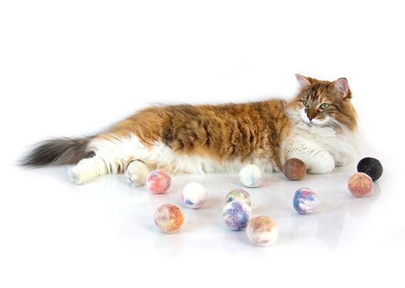 stocking stuffer ideas for cats under 10 chicstockingstuffers houseofcat jpg