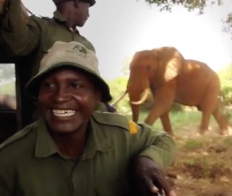 Joseph Sauni, a longtime keeper with the David Sheldrick Wildlife Trust in Kenya, was thrilled to see 26-year-old ex-orphan Ndume this month.