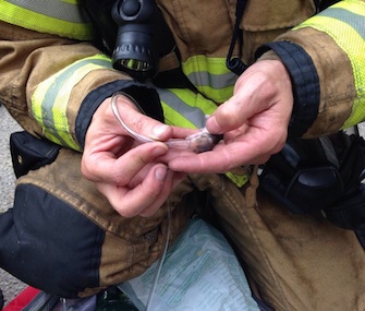 Lacey, Washington, firefighters rescued four hamsters with a tiny oxygen mask.