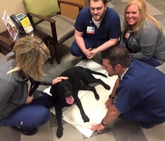 The Community Hospital staff took care of Capone after he wandered into their ER early Thursday morning.