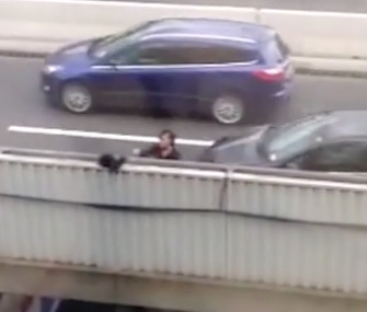 A group of London office workers came to the rescue on a cat they spotted perched on a bridge.