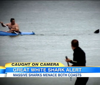 A great white shark follows dangerously close to a kayaker.