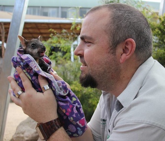 Wallaby joey Alkira poses with her surrogate caretaker, Matt Dea, at the Taronga Zoo in Australia.