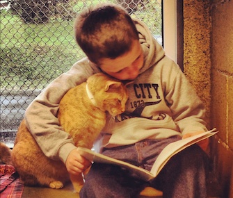 A boy reads to one of the cats at the Animal Rescue League of Berks County.