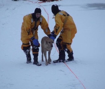 Firefighters saved a 9-year-old Lab and Great Dane mix from an icy lake in Burke, Virginia, Thursday.