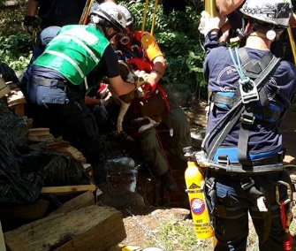 Firefighters from around Norfolk County, Massachusetts, came to the rescue of a dog who fell down a 35-foot well.