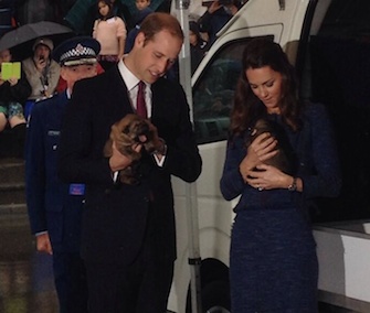 Prince William and the Duchess of Cambridge cuddle with young puppies at a police academy in New Zealand.