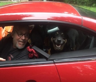 No more chasing cars for Butterbean. Here, she happily heads to her new home with Guy Lawrence-Edenheimer.
