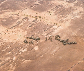 Elephants in the Gourma desert have adapted to living with little access to water.