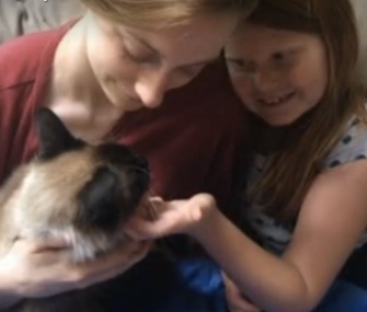A cat rescue volunteer in Hawaii helped reunite Bogie with his family in Detroit.
