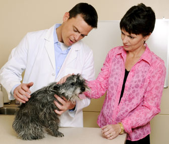 Veterinarian and client
