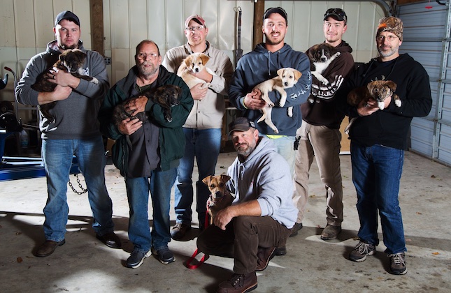 A bachelor weekend became a rescue mission for a stray dog and her seven puppies.