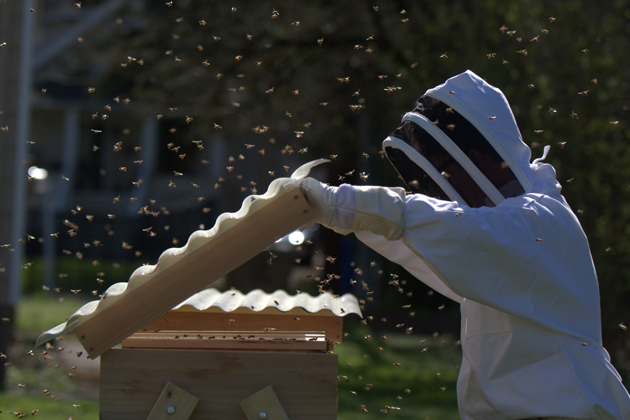 Matt Reed in his beekeeper's suit