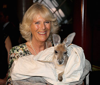 Camilla, Duchess of Cornwall, cuddles a kangaroo joey.