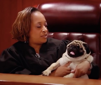 Sabrina Johnson, a district court judge in Michigan, adopted Mikey, a blind Pug.