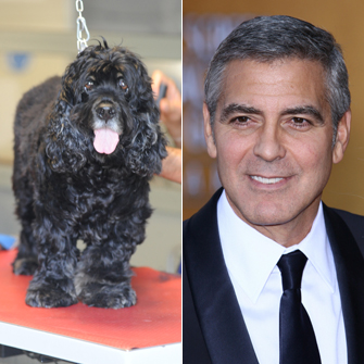 George Clooney and Dog Einstein