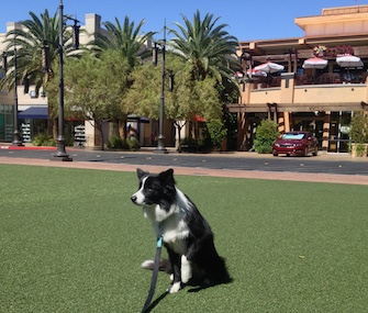 Nessie hangs out at Town Square in Las Vegas.