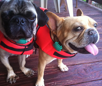 Vincent and Slumdog wearing life jackets