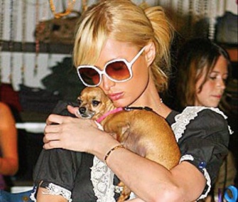 Paris Hilton shared this photo of herself and Tinkerbell with news that the dog had died at age 14.