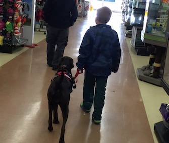 Aiden Heath, 8, is happily getting to know his diabetes alert dog, Angel.