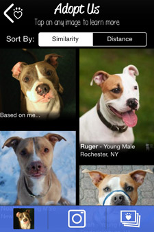Mia PetMatch