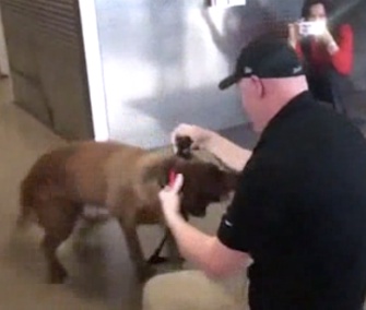 Sgt. Jason Bos was reunited with retiring military dog Cila on Wednesday.