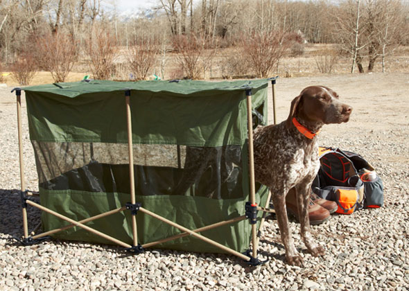 ll bean dog crate