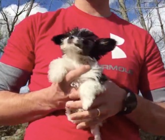 Tom Brady paid homage to the Lion King while introducing his new rescue puppy, Fluffy.