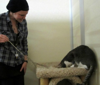 Theo the cat and a volunteer