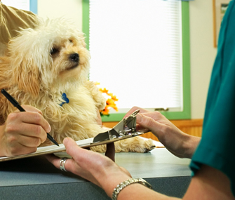 Vet client signing a paper