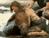 Horse stuck in mud